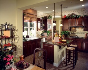 Kitchen Design Home Interior